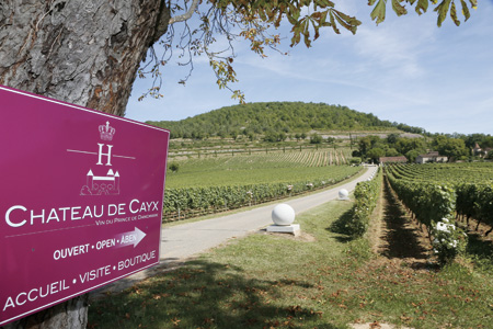 Château de Cayx | Sommeliers International
